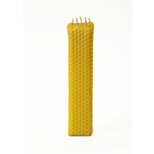 Bougie d'havdala pure cire d'abeille 16 cm ou 14 cm
